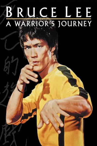 Ilustrácia Bruce Lee A Warrior's Journey (2000)