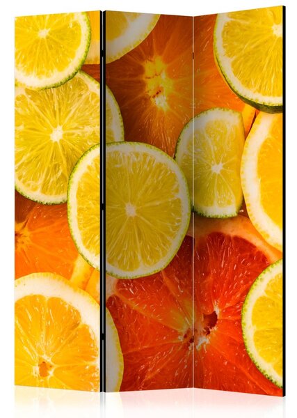 Paraván - Citrusové plody