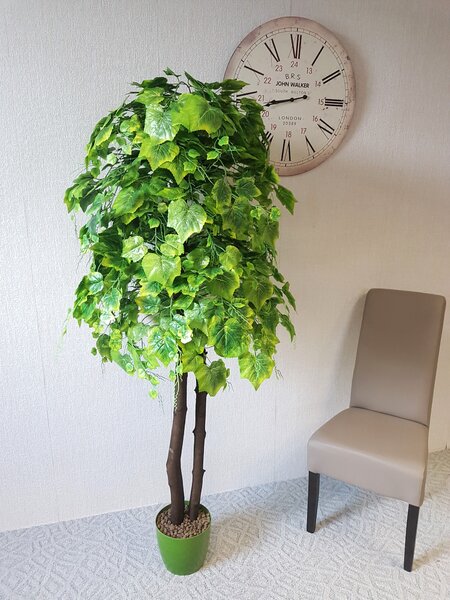 Hrozno zelené 160 cm