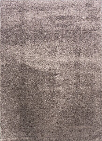 Berfin Dywany Kusový koberec MICROSOFT 8301 Brown - 120x170 cm
