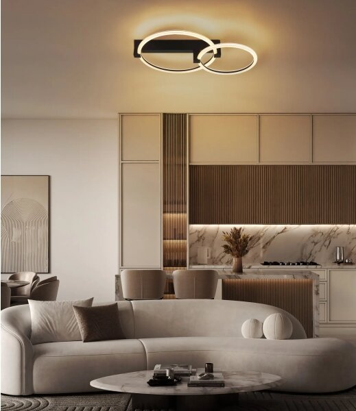 Globo 48050D1S - LED stropné svietidlo FLETCHER LED/24W/230V 3000K 58x38 cm čierna