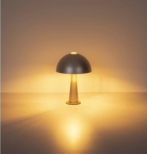 Globo 50670152 - Stolová lampa JULIA 1xE14/25W/230V matný chróm