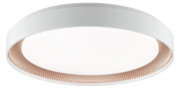 Brilliant - Stmievateľné LED stropné svietidlo WALDO LED/36W/230V biela/ružové zlato + diaľkový ovládač
