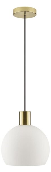 Brilliant - Závesné svietidlo na lanku CONY 1xE27/20W/230V pr. 25 cm mosadz