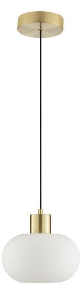 Brilliant - Závesný luster na lankách FANNY 1xE27/20W/230V priemer 22 cm mosadz