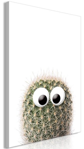 Obraz - Kaktus s očami 40x60