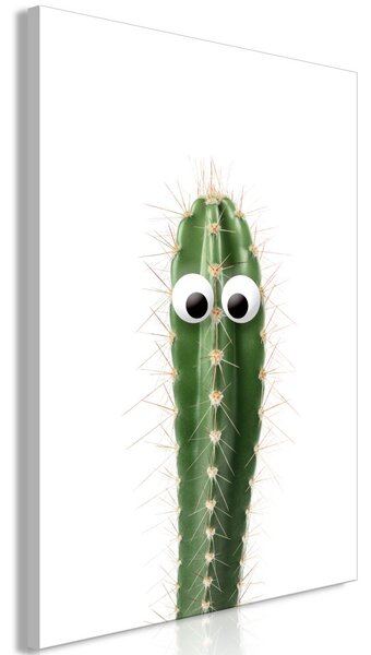 Obraz - Živý kaktus 40x60