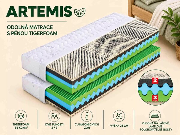 Dřevočal Sendvičový matrac Artemis 200x90, AloeVera
