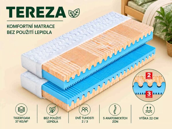 Dřevočal Studená pena Tereza 200x90, AloeVera