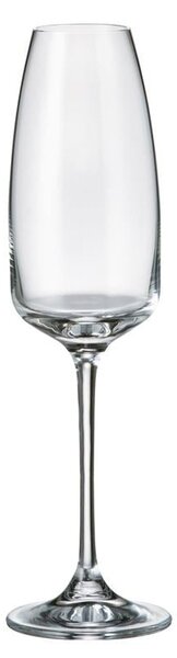 BOHEMIA ANSER POHÁR NA ŠAMPANSKÉ 290ML SADA 6 KS