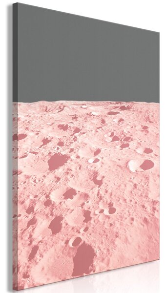 Obraz - Ružový mesiac 40x60