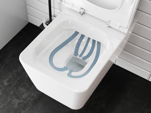 Hansgrohe EluPura Q - Závesné WC 540, AquaFall splachovanie, SmartClean + sedátko so SoftClose a QuickRelease, biela 61117450