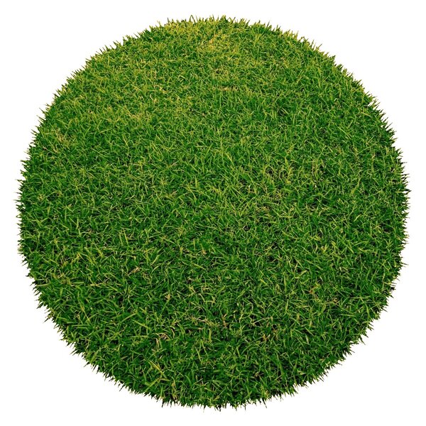 Europe Grass , Umelá tráva Botanic kruh, 100x100 (priemer) kruh, zelená, exteriér
