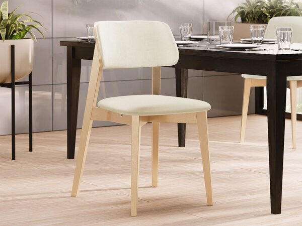 Mirjan24 Čalúnená jedálenská stolička KT63/C, Dostupné poťahy: Magic Velvet 2250, Farby: buk 5903211313431