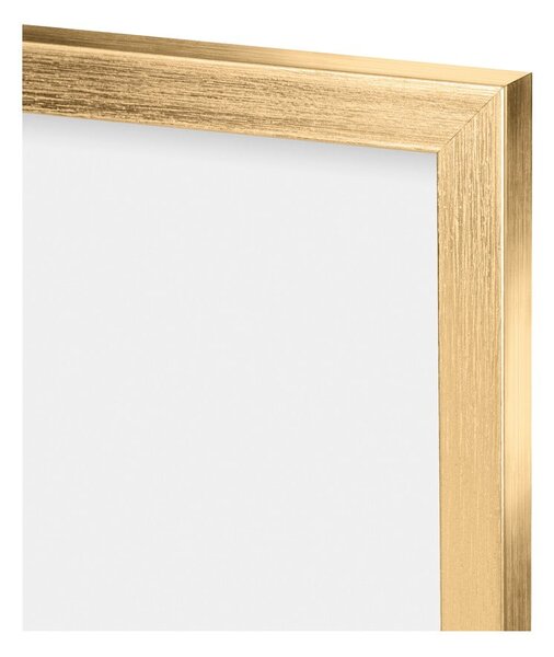 Obrazy v súprave 3 ks 30x40 cm Fern – knor