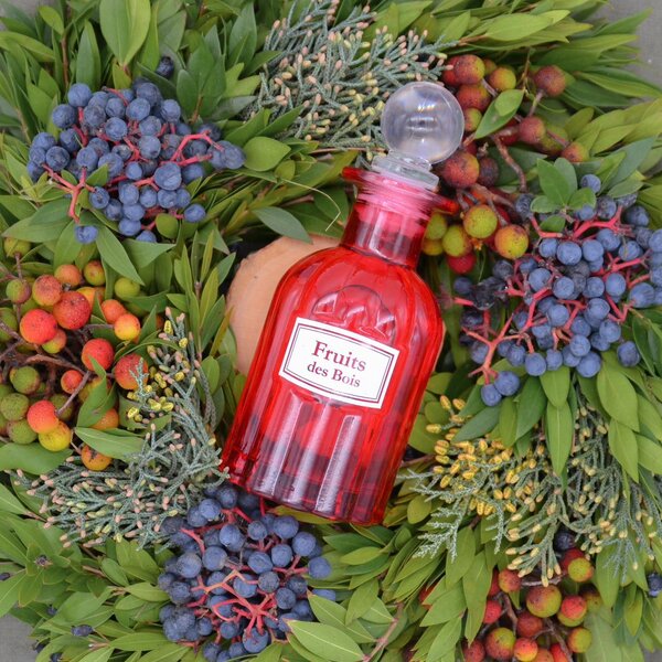 Esprit Provence Lesné ovocie Vonný difuzér, 100ml