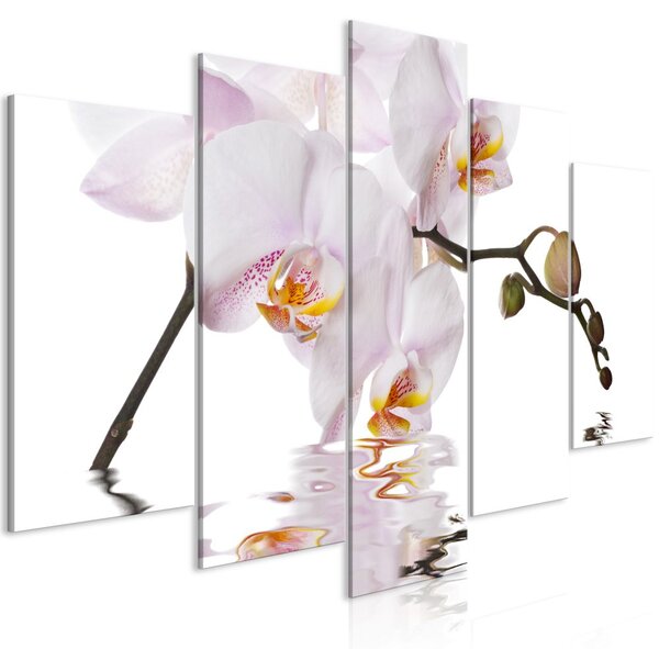 Obraz - Krásna orchidea 100x50