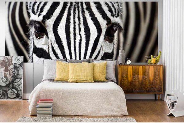 DIMEX | Panoramatická vliesová fototapeta na stenu Zebra MP-2-0234 | 375 x 150 cm | čierna, biela