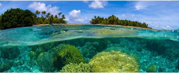 DIMEX | Panoramatická vliesová fototapeta na stenu Koralový útes MP-2-0200 | 375 x 150 cm | modrá, tyrkysová, zelená