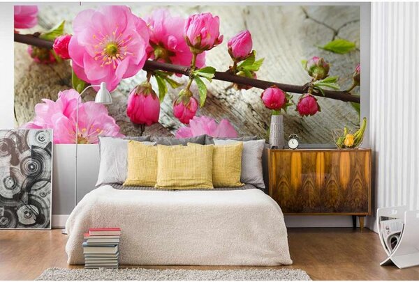 DIMEX | Panoramatická vliesová fototapeta na stenu Sakura MP-2-0109 | 375 x 150 cm | ružová, zelená, béžová