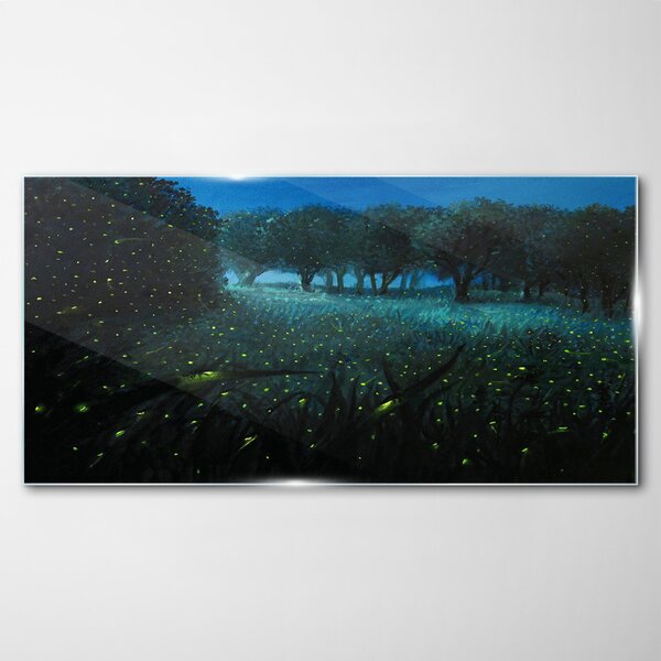 Obraz na skle Lesné nočné fireflies