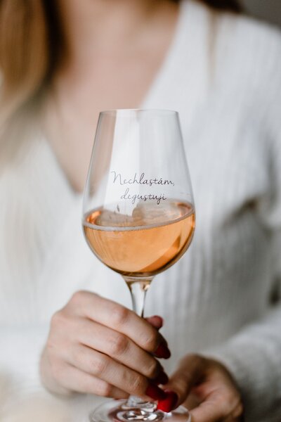 Pohár na víno Nechlastám, degustuji – CZ