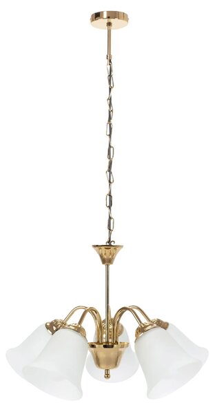 Toolight - Závesná stropná lampa Vintage - zlatá - APP959-5CP