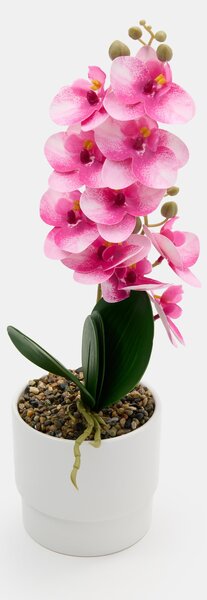 Sinsay - Umelá dekoratívna orchidea v kvetináči - ružová