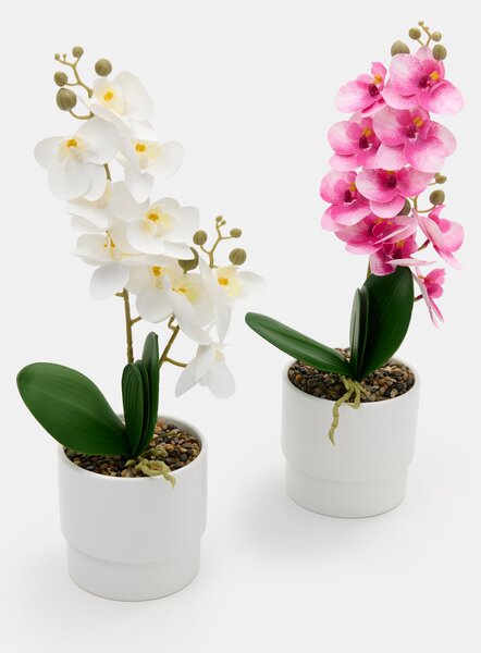 Sinsay - Umelá dekoratívna orchidea v kvetináči - biela