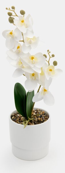 Sinsay - Umelá dekoratívna orchidea v kvetináči - biela