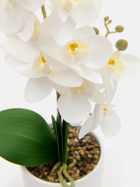 Sinsay - Umelá dekoratívna orchidea v kvetináči - biela