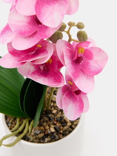 Sinsay - Umelá dekoratívna orchidea v kvetináči - ružová