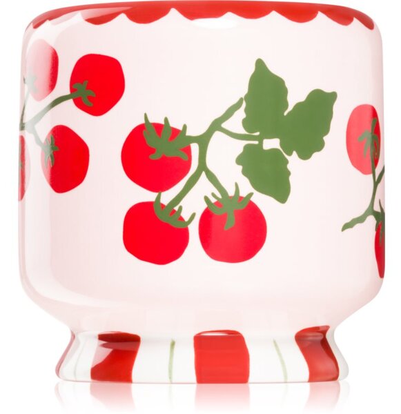 Paddywax A Dopo Tomato Vine vonná sviečka 226 g