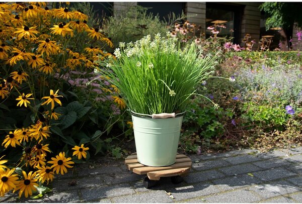 Drevený pojazdný podstavec pod kvetináč ø 29 cm (výška 8 cm) Indoor & Outdoor – Esschert Design