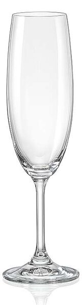 Crystalex poháre na sekt LARA 220 ml 6 ks