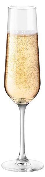 BOHEMIA PRESTIGE BONITA POHÁR NA ŠAMPANSKÉ 200ML SADA 6 KS