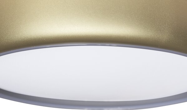 Stropné LED svietidlo Gea, 1x LED 36w, 3000-6000k, g, s ovládačom