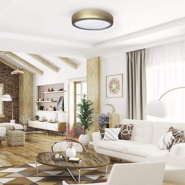 Stropné LED svietidlo Gea, 1x LED 36w, 3000-6000k, g, s ovládačom
