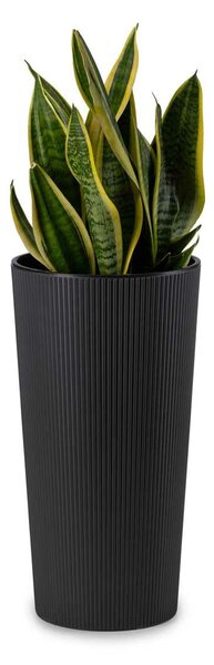 PLASTOVÝ KVETINÁČ URBANIKA ECO 19,5X36,5 CM ČIERNA