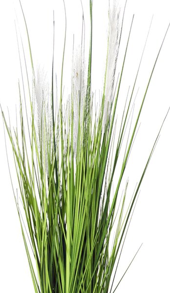 Umelá tráva PAMPAS, plast, výška 80 cm, zelená