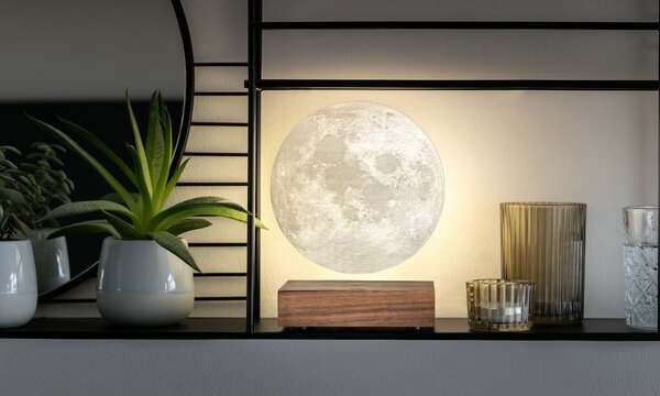 Hnedá svetelná dekorácia do zásuvky ø 12 cm Moon – Gingko