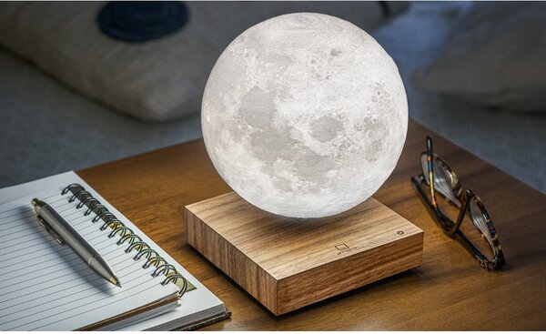 Hnedá svetelná dekorácia do zásuvky ø 12 cm Moon – Gingko