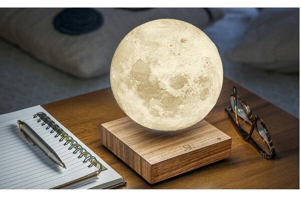 Hnedá svetelná dekorácia do zásuvky ø 12 cm Moon – Gingko