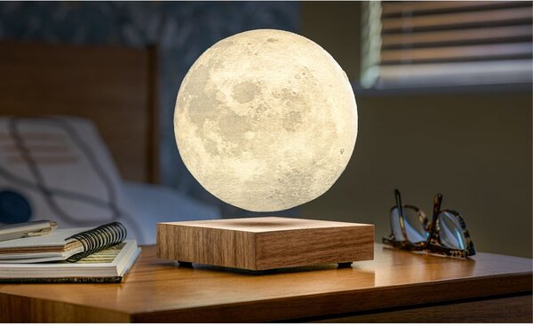 Hnedá svetelná dekorácia do zásuvky ø 12 cm Moon – Gingko