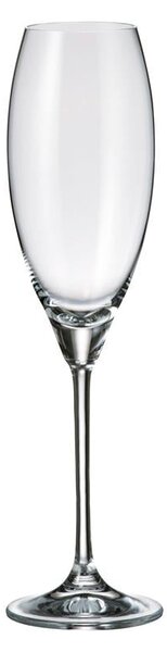 BOHEMIA CARDUELIS POHÁR NA ŠAMPANSKÉ 290ML SADA 6 KS