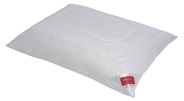 VANKÚŠ, 40/60 cm Hefel Textil - Prikrývky & vankúše
