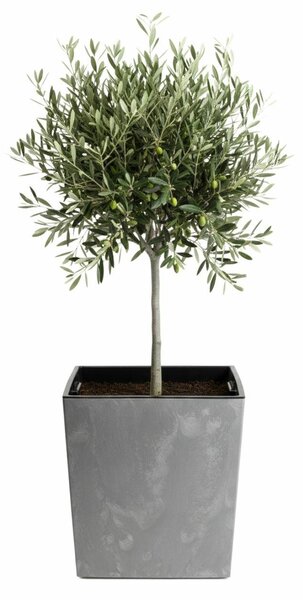 PLASTOVÝ KVETINÁČ FLORE 41X39,5X39,5 CM IMITÁCIA BETÓNU SIVÁ