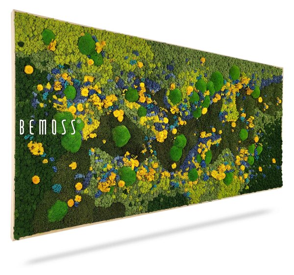 Machový obraz BEMOSS® ORTHO TORRES - 40 x 40 cm
