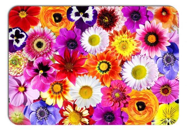 Prestieranie - 271 Kytky, Farebné kvety