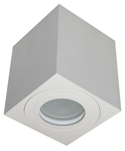 Vonkajšie bodové svietidlo SARA 1xGU10/30W/230V IP54 biela